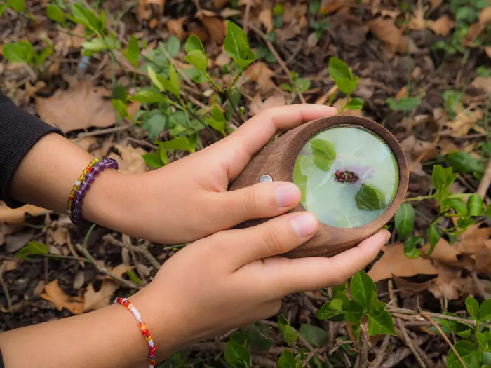 Stolas Magnifying Glass project.